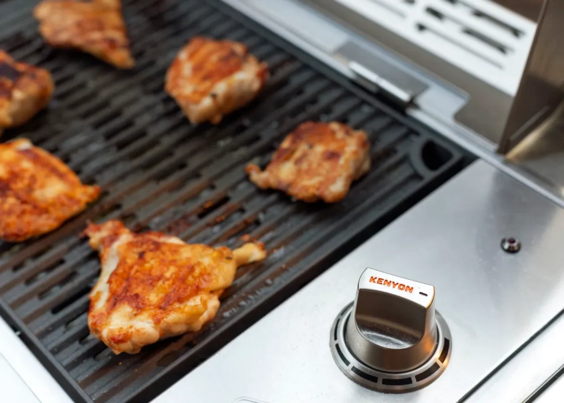 Kenyon Argentina Parrillas Eléctricas - Detalle de pollo grillado