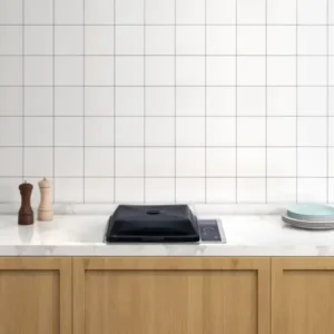 Kenyon Argentina Parrillas Eléctricas - Vegetales de colores grillados