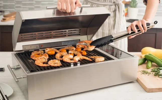 Kenyon Argentina parrillas electricas portables langostinos-en-cocina