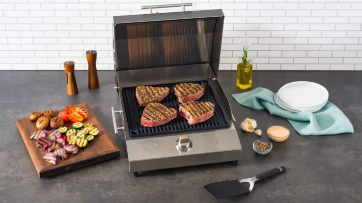 Kenyon Argentina parrillas electricas portables cocinando-carne