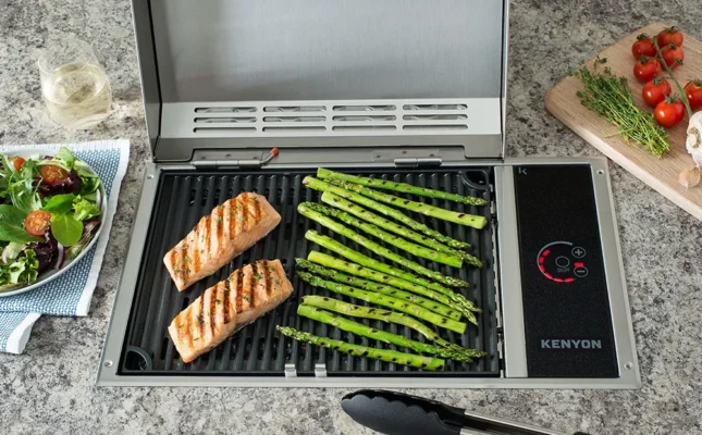 Kenyon Argentina parrillas eléctricas empotrables - Verduras y salmón grillados
