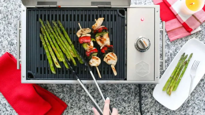 Kenyon Argentina parrillas electricas portables hannahbeury