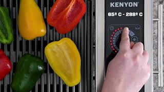 Kenyon Argentina parrillas eléctricas portátiles - Control de temperatura preciso
