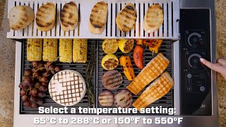 Kenyon Argentina parrillas eléctricas - Vegetales y carnes variadas