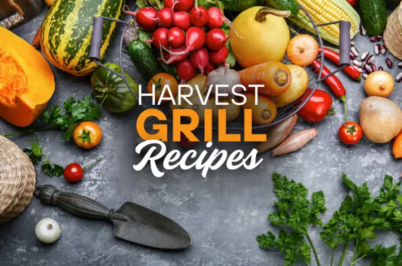 Kenyon Argentina Parrillas Eléctricas - Recetas de temporada